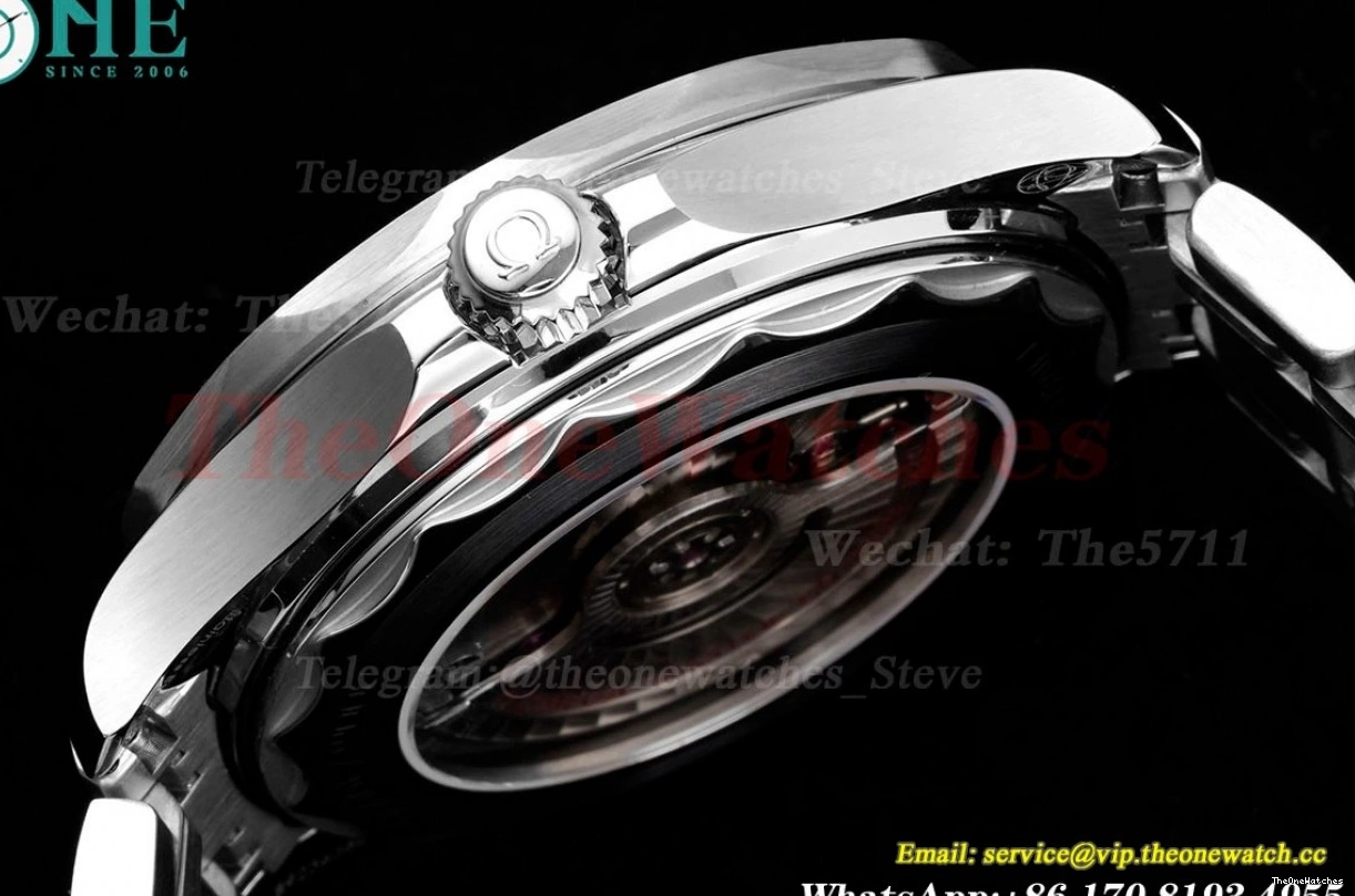 Seamaster Wht A8800 SS SS blue 300m 42mm JVSF 0112